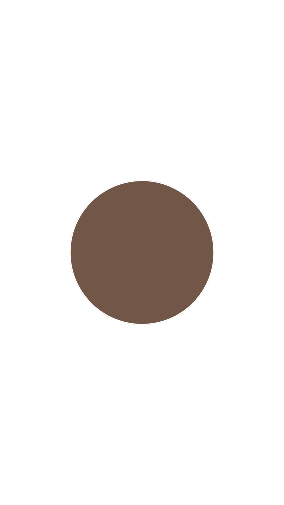 Ral 8014   Sepiabraun